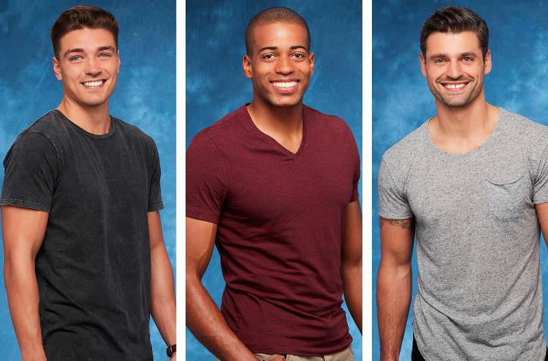 Bachelor Spoiler Find Out Who Will Be the Next Bachelor! Reality Blurb