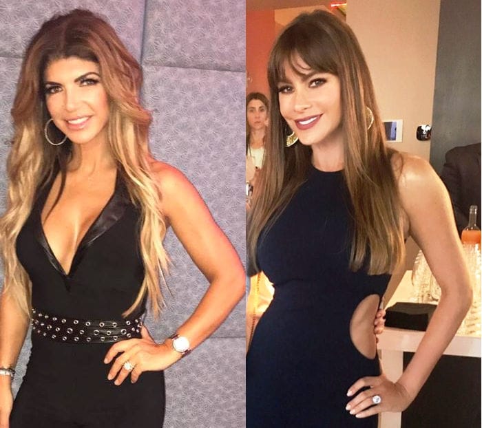 VIDEO: Teresa Giudice Slams Sofia Vergara! Calls Her an Immigrant