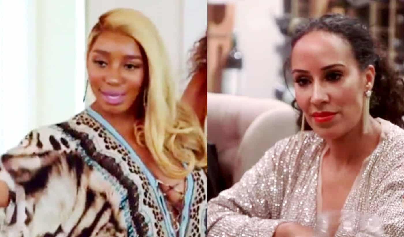 The Real Housewives of Atlanta Recap Is NeNe Jealous of Tanya?