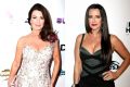Lisa Vanderpump Shades Kyle Richards' Nose Job as RHOBH Alum Says Kyle's "Always" Trying to Make Her "Look Bad"