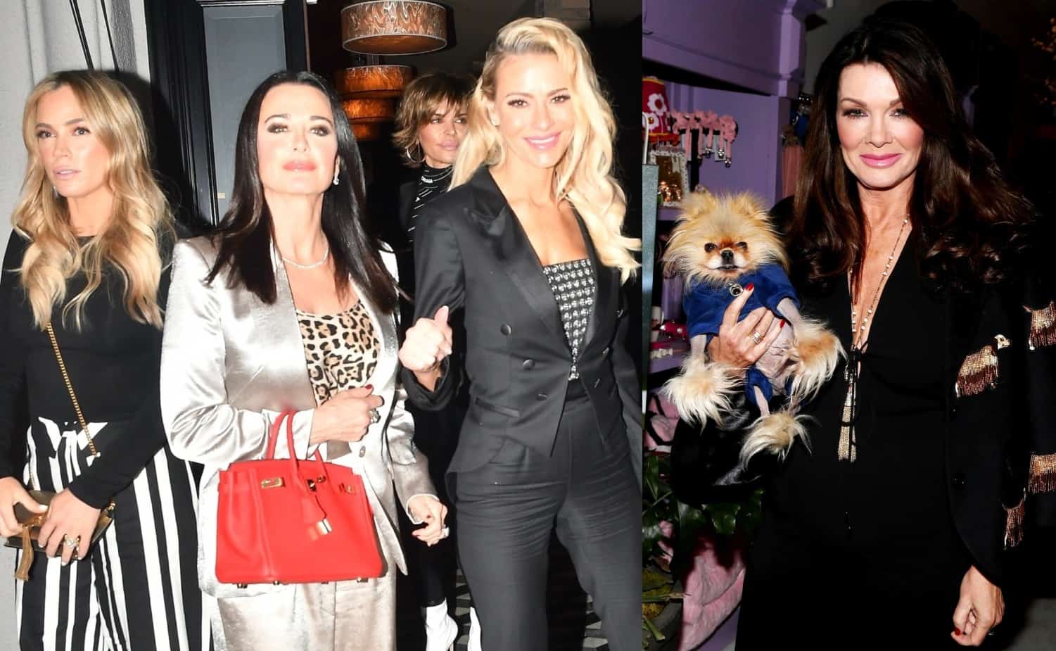 RHOBH Cast 'Extremely UnHappy' Over News of Lisa Vanderpump's New Spinoff for Vanderpump Dogs