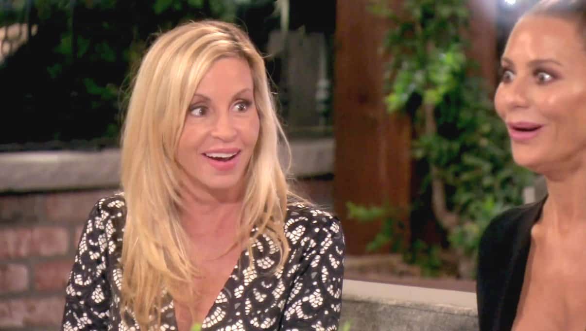 The Real Housewives of Beverly Hills Recap: Camille Makes a Distasteful Comment About Lisa