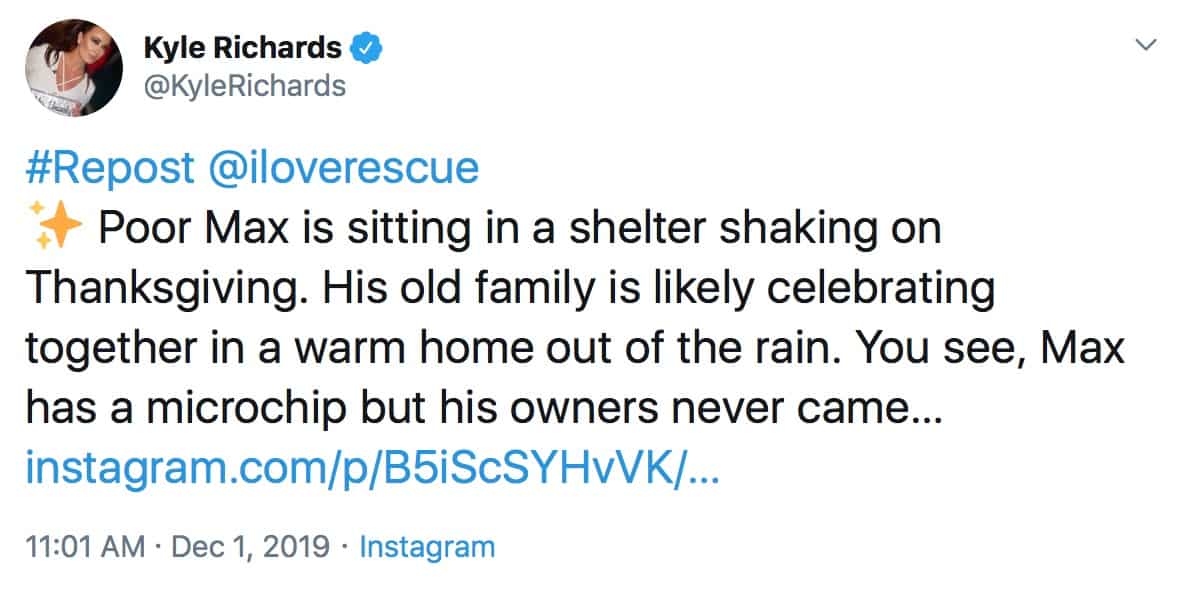 RHOBH Kyle Richards Reignites Puppy Gate Drama With Twitter Post About Dog