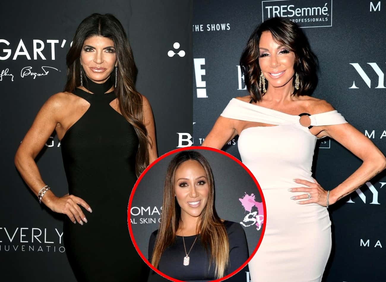 Teresa Giudice And Danielle Staub Feuded Over Serious Allegations 