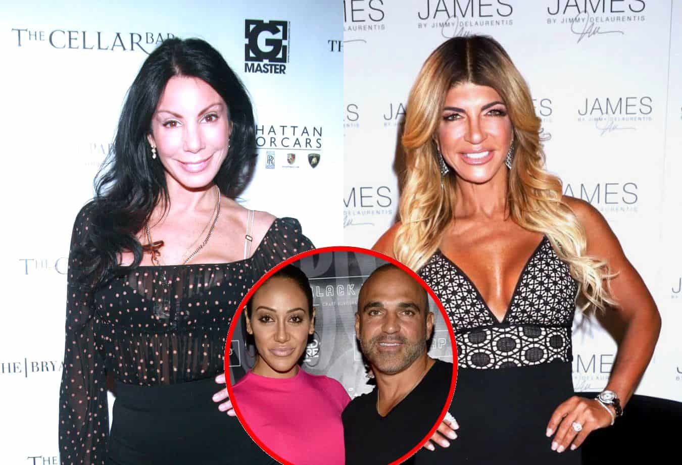 RHONJ's Danielle Staub Says Teresa Giudice 'Only Cares About Money' and Reacts to Her Ending Their Friendship, Accuses Melissa and Joe Gorga of Using Her Plus Her Regret About Hair Pull