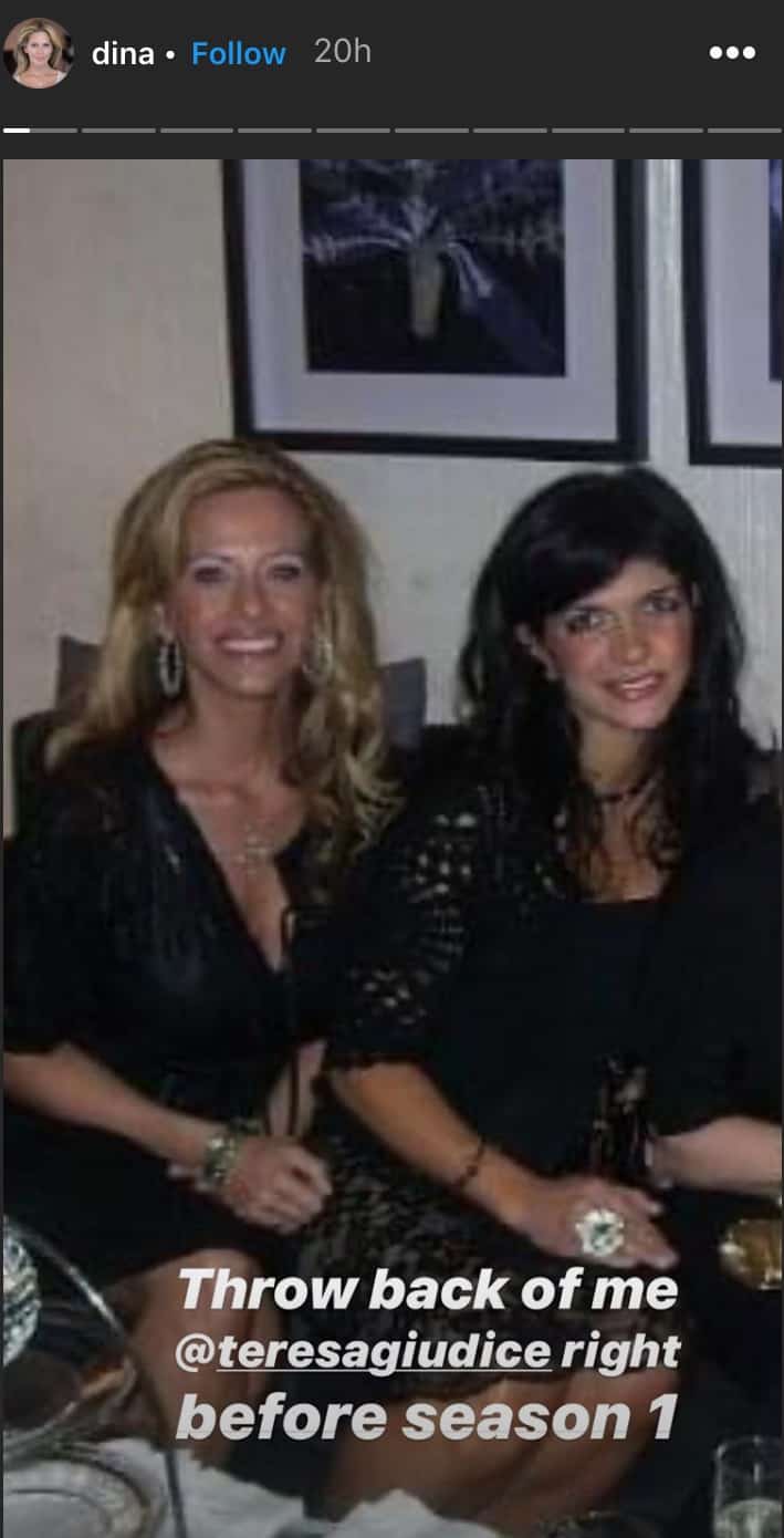 Dina Manzo Shares Throwback Photo of Herself and Teresa Giudice Before RHONJ Season One