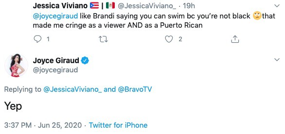 RHOBH Joyce Giraud Comments on Brandi Glanville's Comments About Black People Not Being Able to Swim