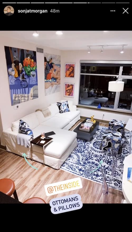 RHONY Sonja Morgan Shares Photo of Daughter's Apartment and Artwork