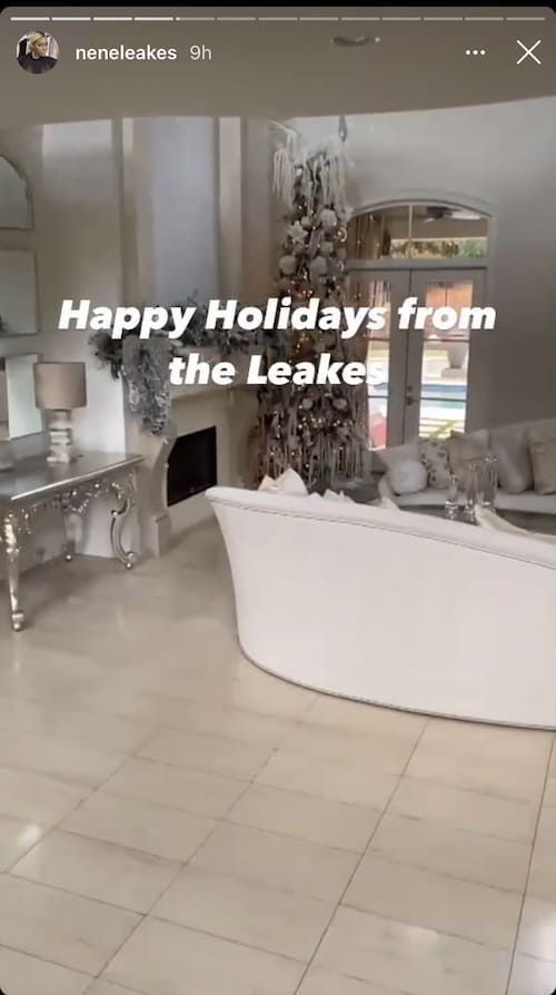 RHOA Nene Leakes Wishes Fans a Happy Holidays