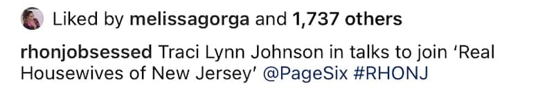 Melissa Gorga 'Likes' Post About Traci Lynn Johnson's Addition to RHONJ