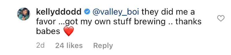 Kelly Dodd Teases New Projects Post-RHOC