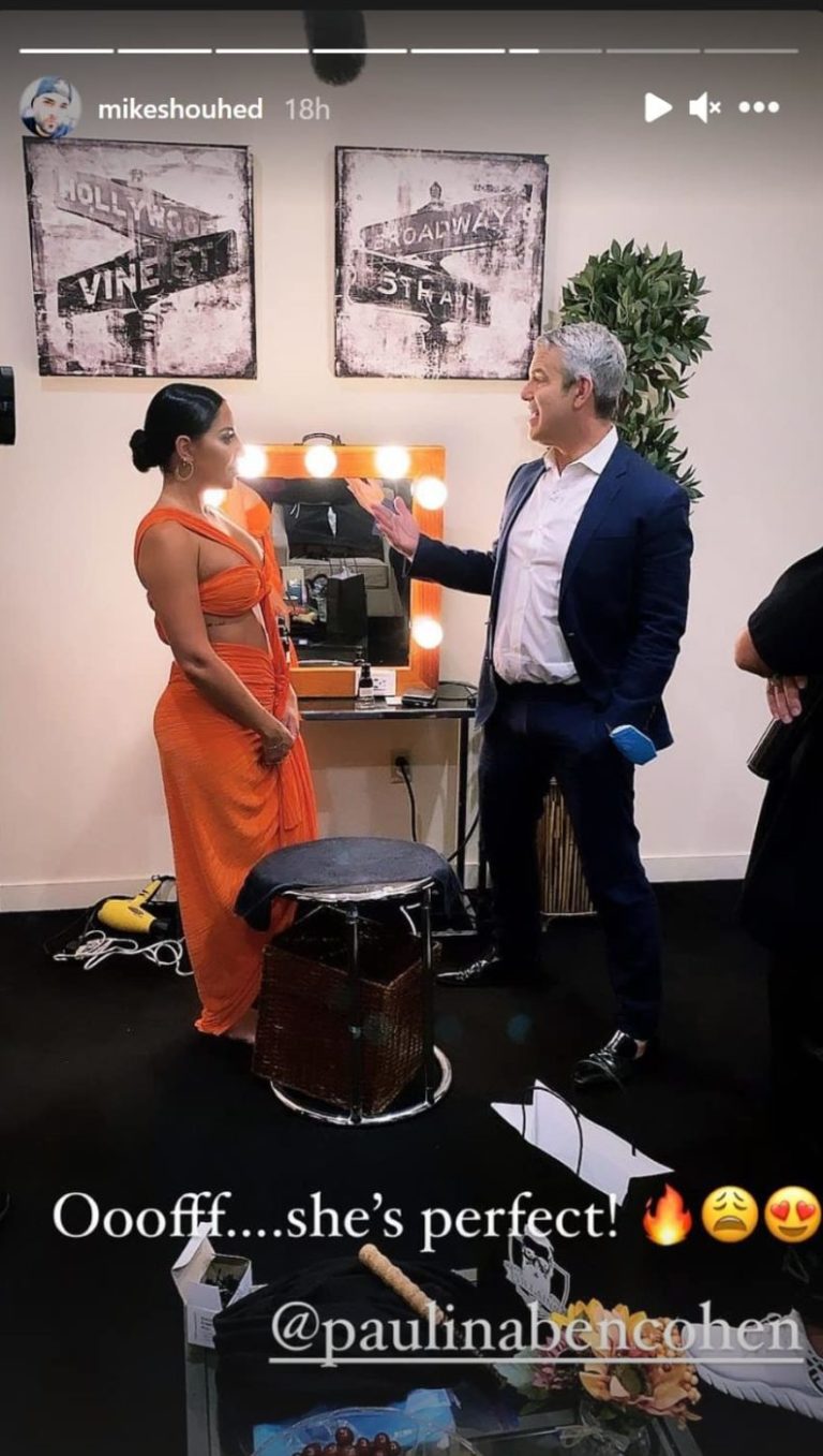 Shahs Star Mike Shouhed And Paulina BenCohen Announce Their Engaged And Discuss Prenup