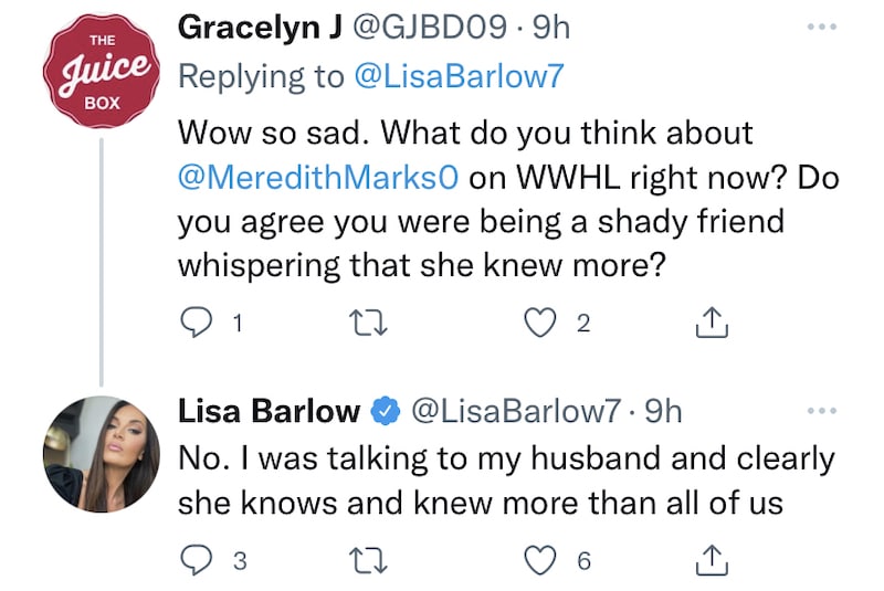 Lisa Barlow Claims Meredith Marks Knew More Than RHOSLC Cast About Jen Shah