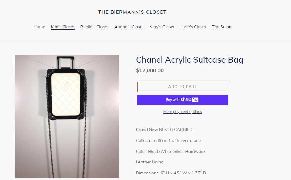 Chanel Acrylic Suitcase Bag The Biermanns Closet
