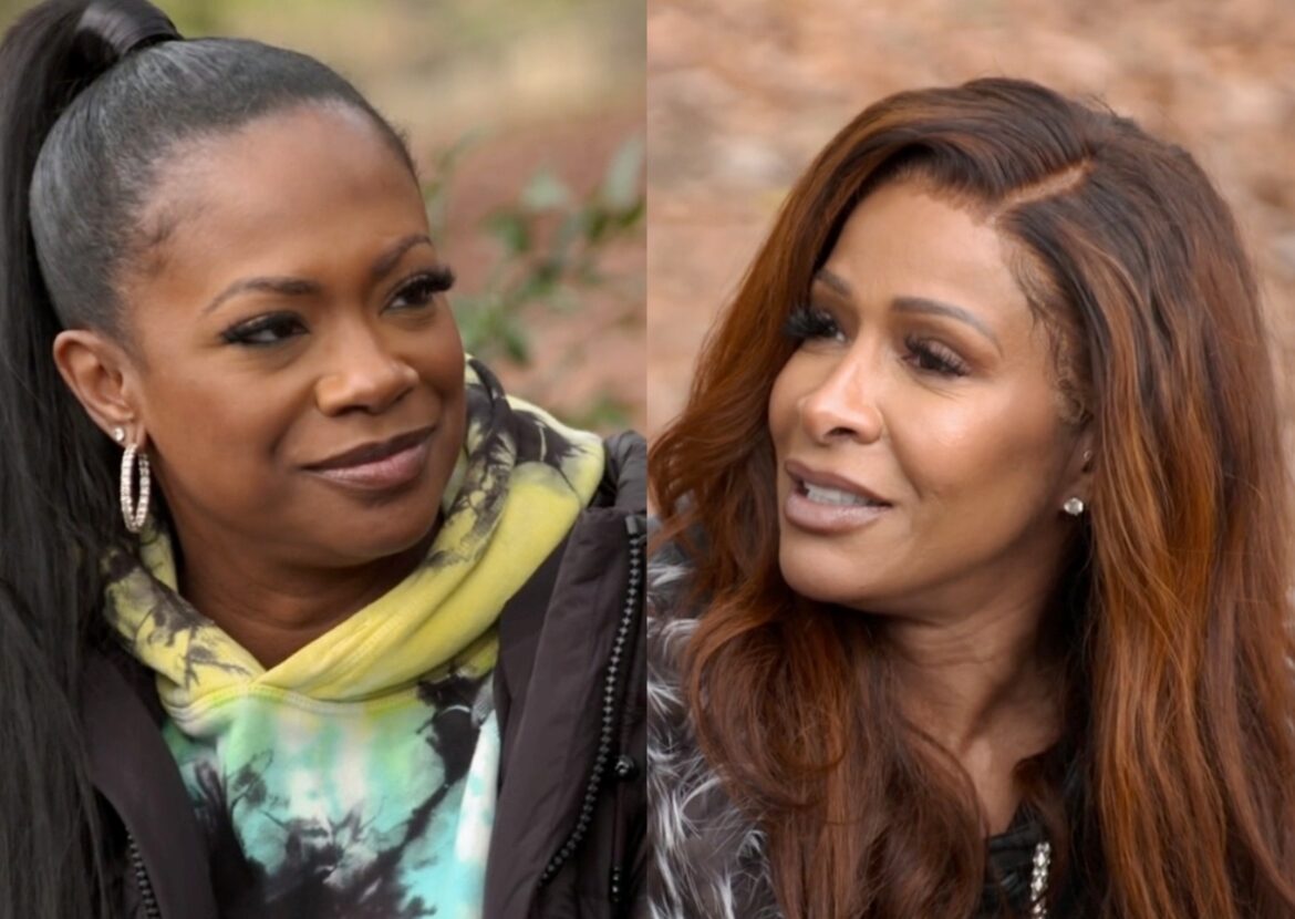 RHOA Recap Sheree Confronts Kandi Over She by Sheree Diss(02)