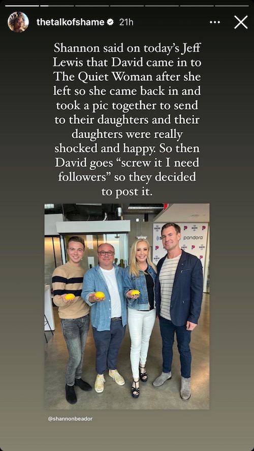 Why RHOC Shannon Beador Shared Pic With Ex David on Instagram