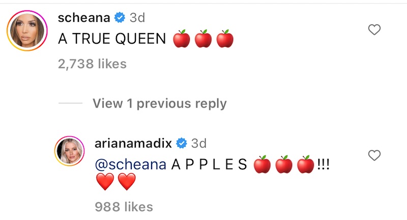 Vanderpump Rules Scheana Shay Supports Arinana Madix New Book