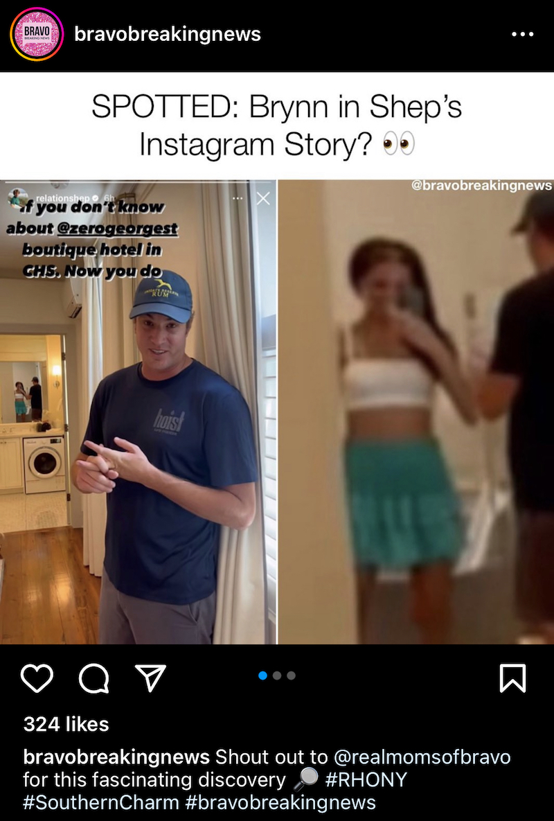 Was RHONY Brynn Whitfield Seen in Background of Shep Rose's IG Story?