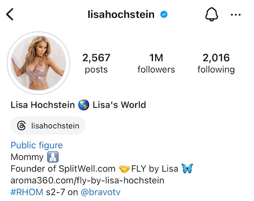 RHOM Lisa Hochstein COnfirms Season 7 Return to RHOM in IG Bio