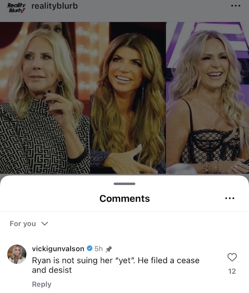 RHOC Vicki Gunvalson Claims Ryan Boyajian is Not Suing Tamra Judge Yet