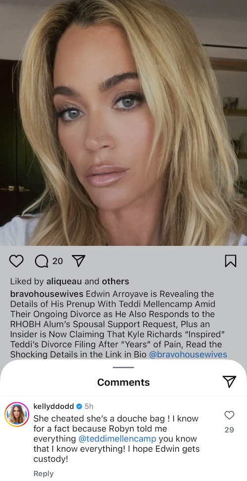 RHOC Kelly Dodd Accuses Teddi Mellencamp of Cheating on Husband Edwin Arroyave