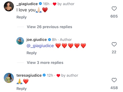RHONJ Gia Giudice and Teresa React to Joe's Plea for a Presidential Pardon