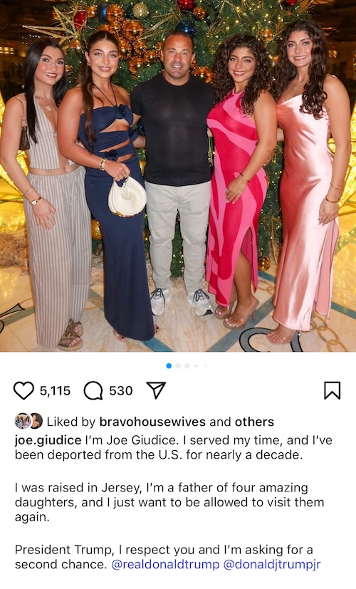 RHONJ Joe Giudice Requests Presidential Pardon From Trump