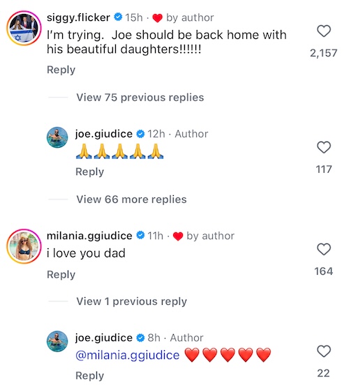 RHONJ Siggy Flicker Hints She's Working to Get Joe Giudice Back in the US