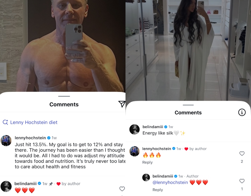 Alena Kovalenko Flirts With Lenny Hochstein on Instagram
