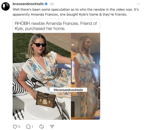 Amanda Frances Reportedly Joins RHOBH for Season 15