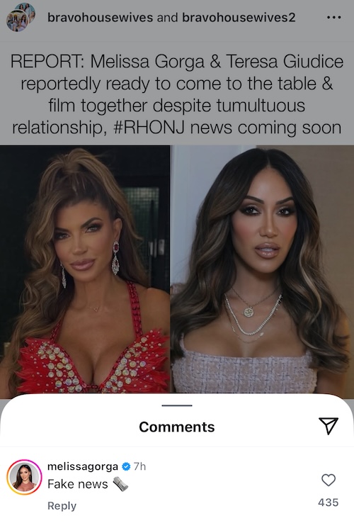 Melissa Gorga Denies She'll Film With Teresa Giudice for RHONJ Season 15