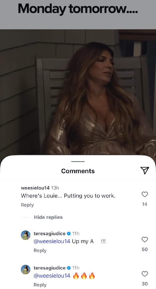 RHONJ Teresa Giudice Reacts to Fan Suggesting Luis Ruelas Was Putting Her to Work