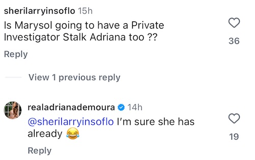 RHOM Adriana De Moura Suspects Marysol Patton Hired PI to Investigate Her