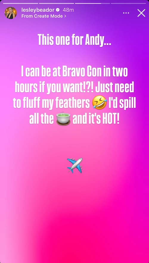 RHOC David Beador's Wife Lesley Offers to Come to BravoCon to Spill Shannon Beador Tea