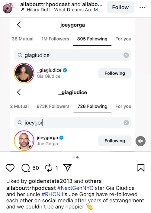 RHONJ Gia Giudice and Joe Gorga Refollow One Another on Instasgram