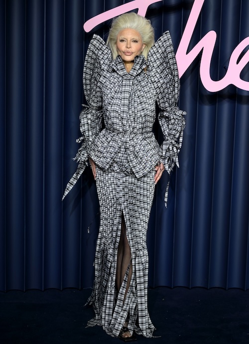 RHOBH's Lisa Rinna Debuts New Blonde Look With Blonde Eyebrows and Tan Skin on Red Carpet