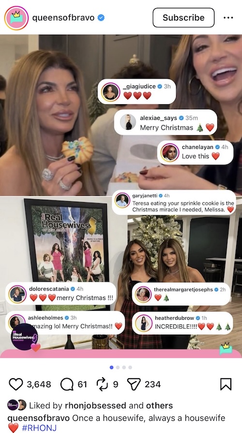 RHONJ Margaret Josephs Reacts to Teresa Giudice Spending Christmas With The Gorgas