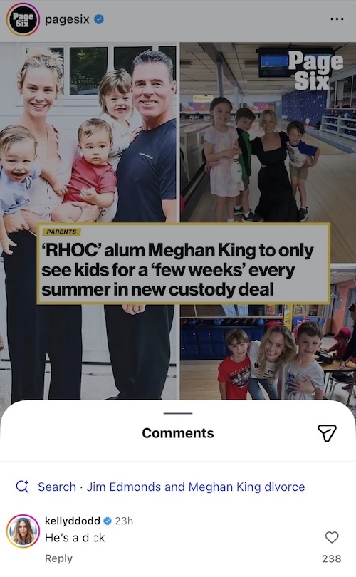 RHOC Kelly Dodd Reacts to Meghan King Being Limited to Weeks in Summer With Kids