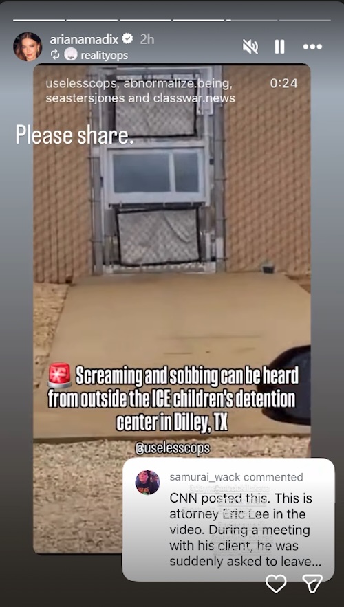 Vanderpump Rules Ariana Madix Shares Video of Screaming and Sobbing at ICE Children's Detention Center