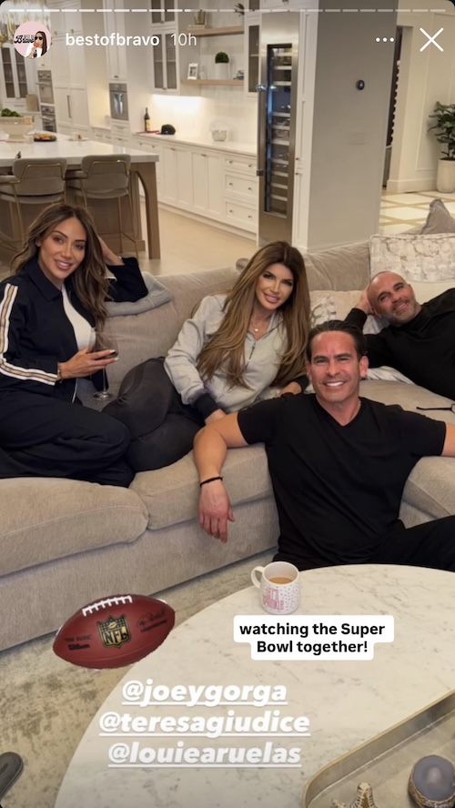 RHONJ Melissa Gorga and Teresa Giudice Watch Super Bowl With Luis and Joe