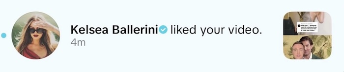 Kelsea Ballerini Likes Video Denying Her Alleged Romance With Craig Conover