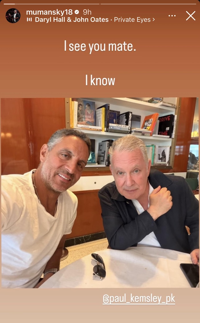 RHOBH Mauricio Umansky Supports PK Amid Dorit Kemsley Income Battle