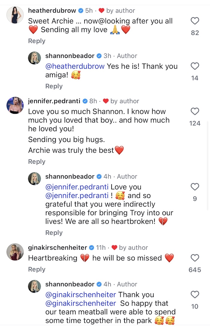 Shannon Beador's RHOC Co-Stars React to Dog Archie's Death