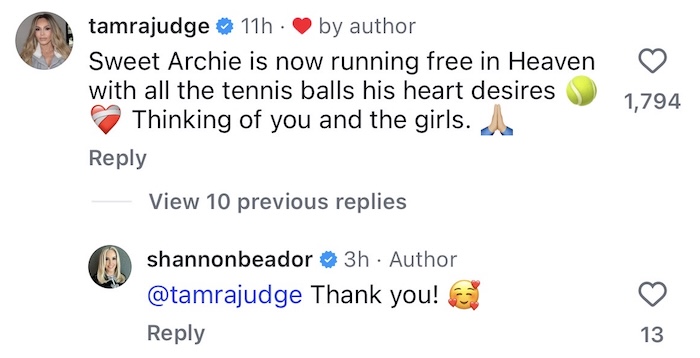 RHOC Tamra Judge Reacts to Death of Shannon Beador Dog