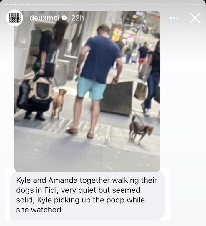 Summer House Amanda Batula and Kyle Cooke Reunite to Walk Dogs
