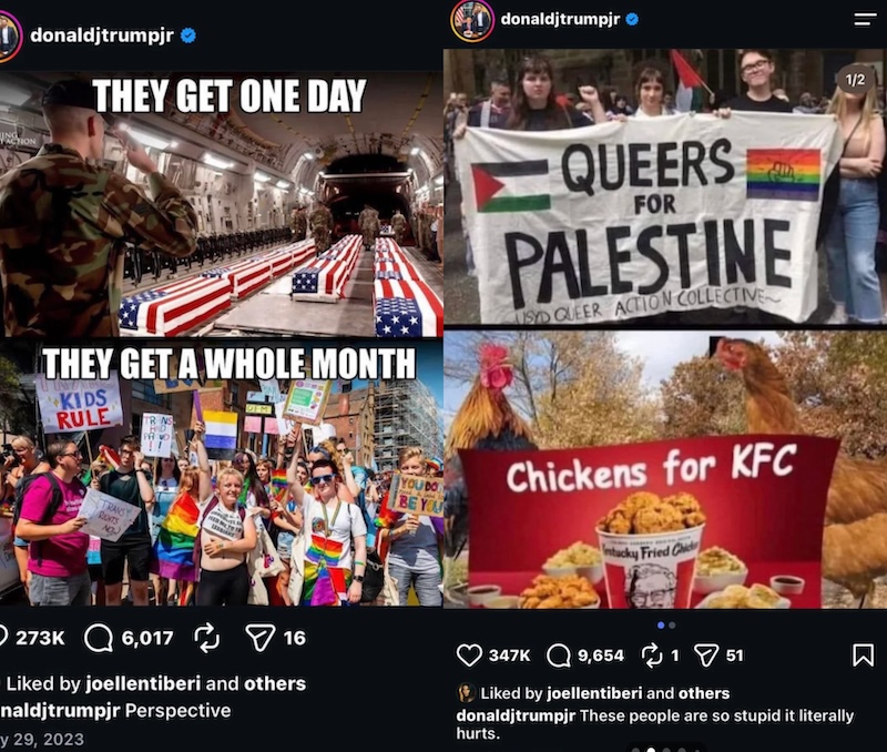 RHORI Jo Ellen Tiberi Likes Homophobic Posts