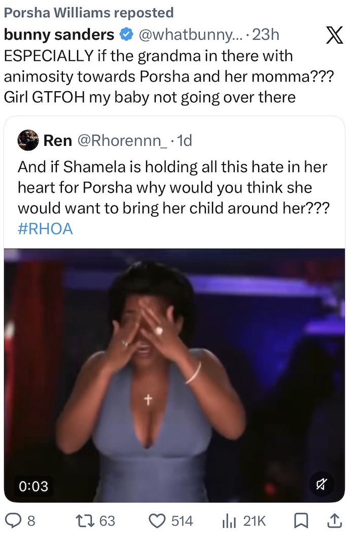RHOA Porsha Williams Defends Decision to Ban Pilar From Shamea's Home Amid Feud