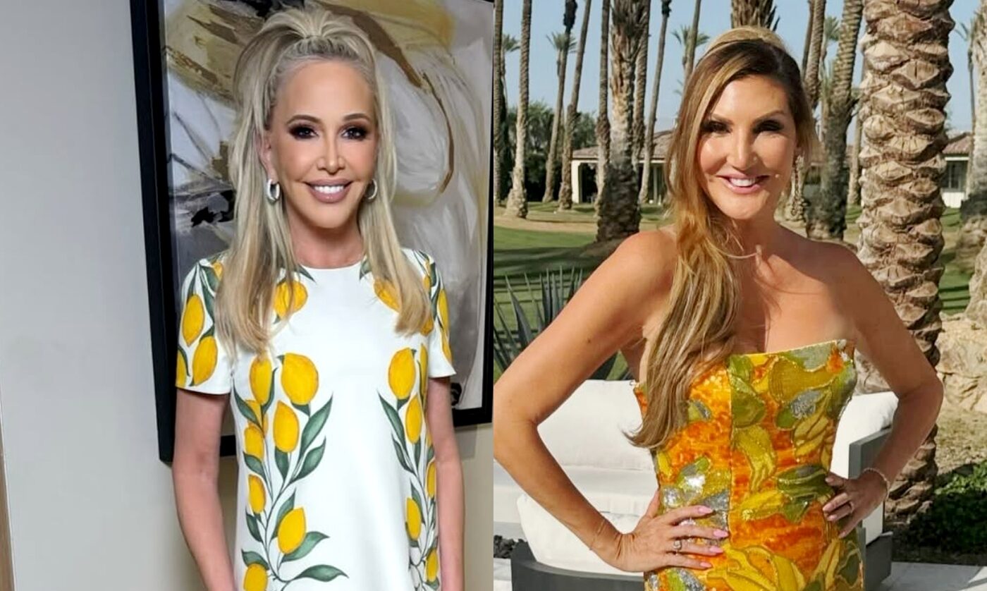 RHOC’s Shannon Beador Reveals Why She Stopped Speaking to Heather McDonald and Recalls Their Recent Interaction Before the Mocking Video RHOC’s Shannon Beador Reveals Why She Stopped Speaking to Heather McDonald and Recalls Their Recent Interaction Before the Mocking Video