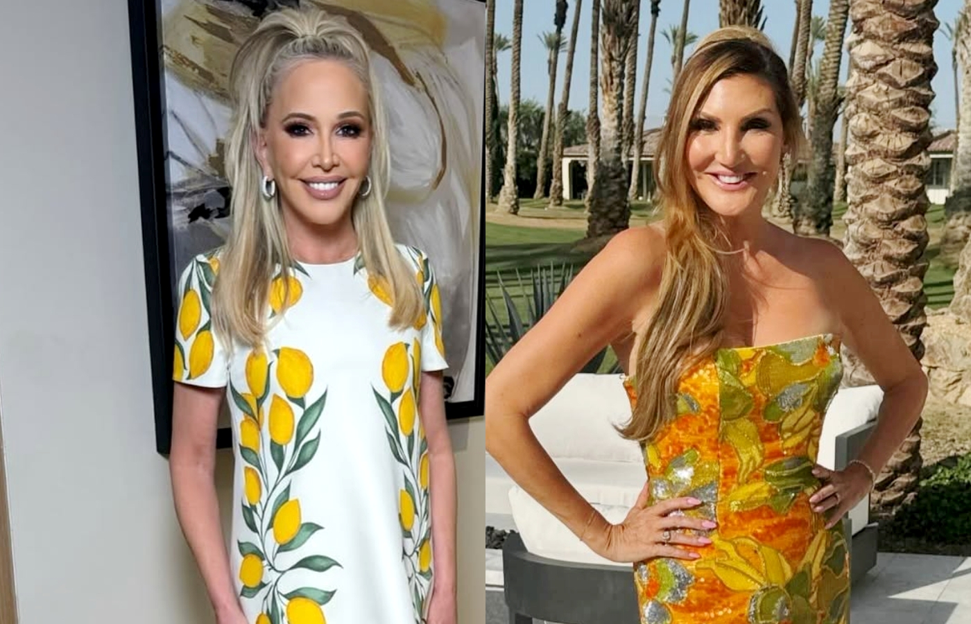 Shannon Beador Reveals Her History with Heather McDonald amid Their Feud, Shares Why They “Didn’t Speak for Some Time” and Recalls Their Recent Interaction before Heather’s Mocking Video