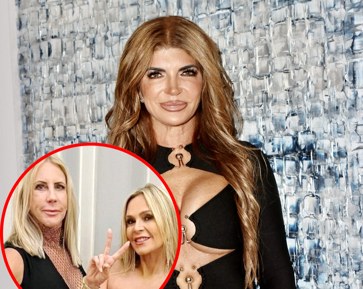 Teresa Giudice Takes Aim at a Fellow Reality Star Amidst Recent Drama